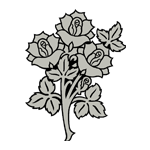 FLOR13