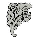 FLOR75